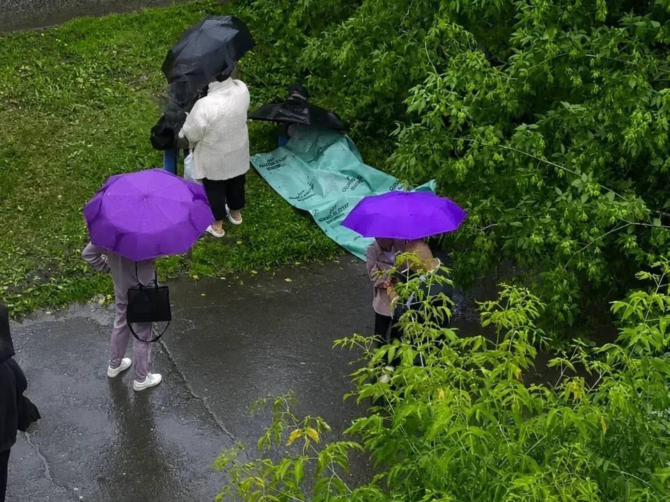 В Перми дерево упало на мальчика во время сильного ливня, возбуждено уголовное дело
