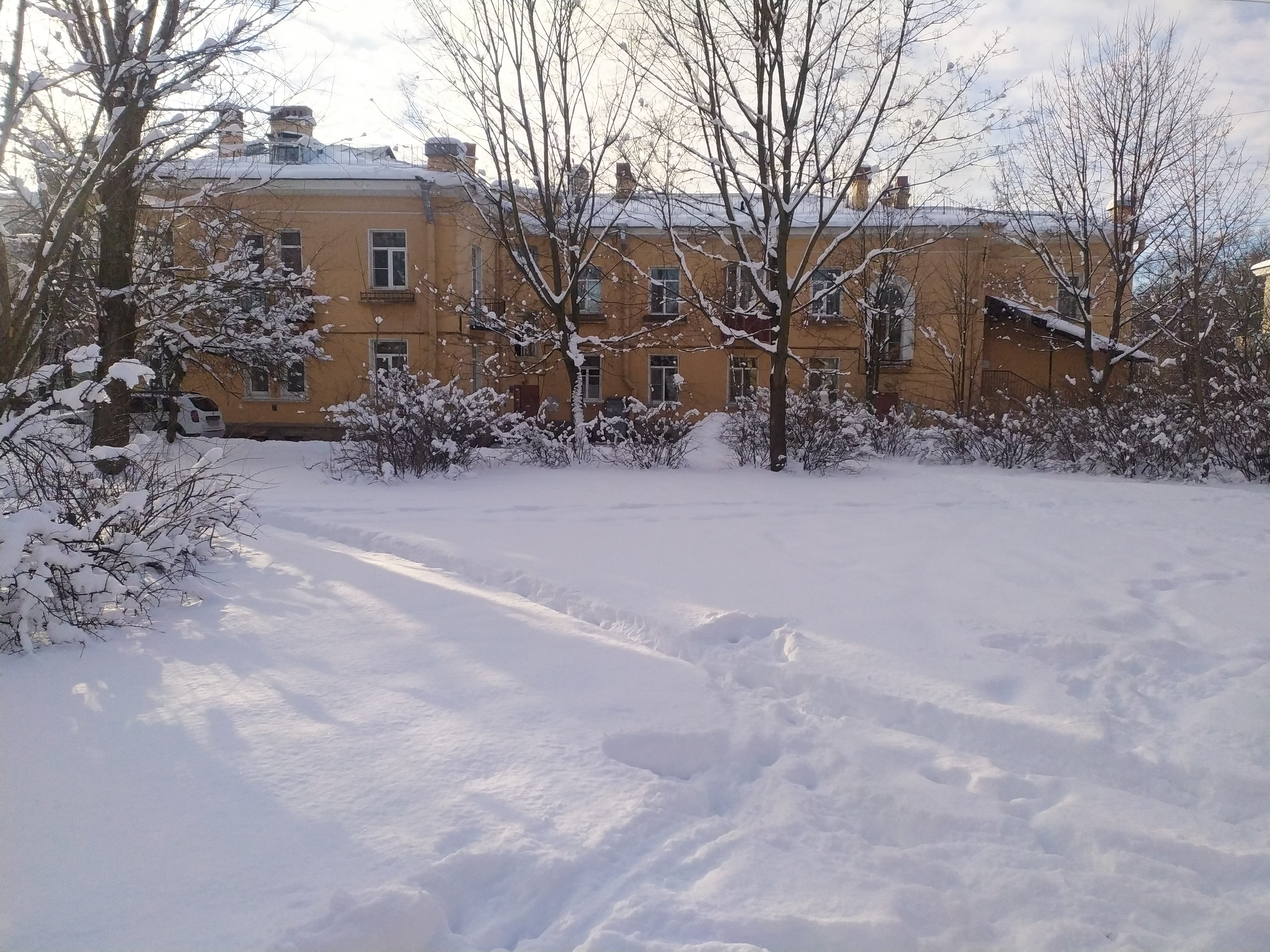 Колпино, Культуры 13_4.JPG