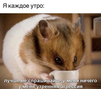 https://i4.imageban.ru/out/2026/07/03/b3a900b939ed80f6a5fbe3b34dbd759d.jpg