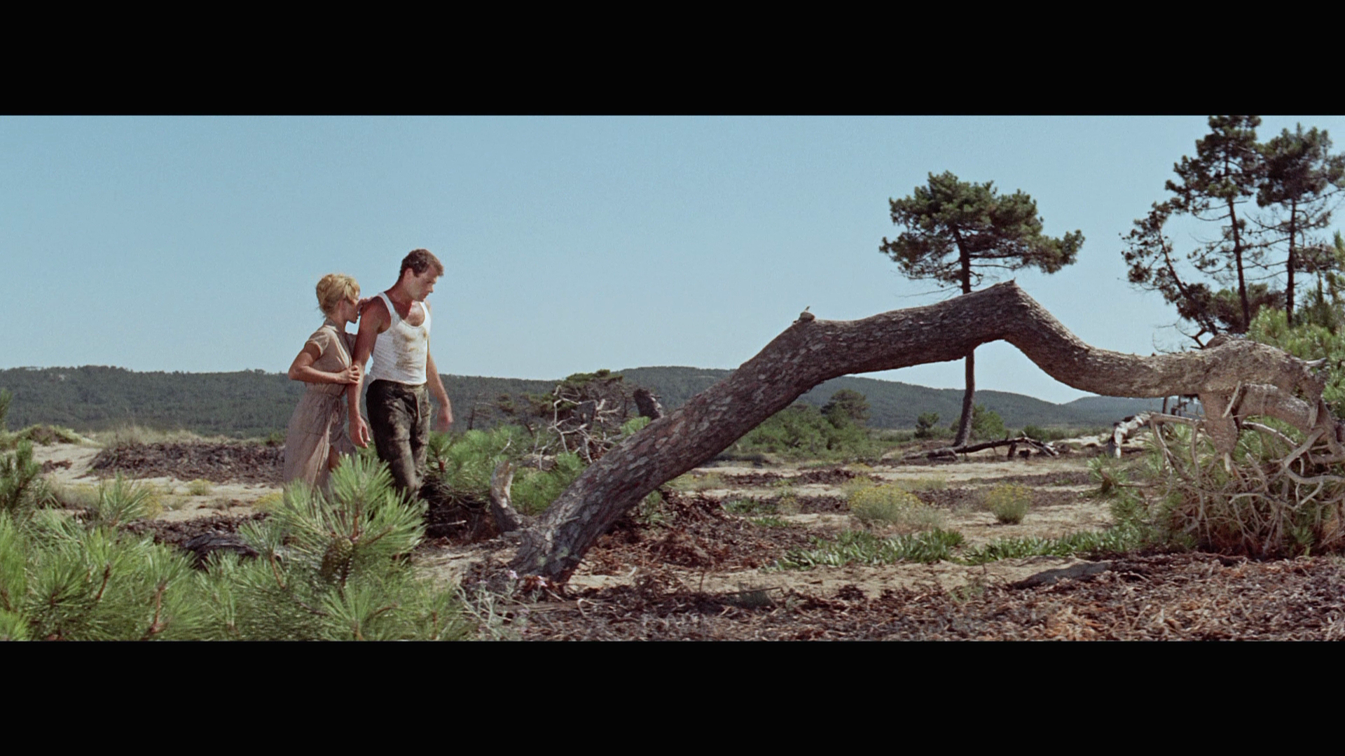 And.God.Created.Woman.1956.TF1.Video.BDRemux.1080p.mkv_20260704_120027.824.png