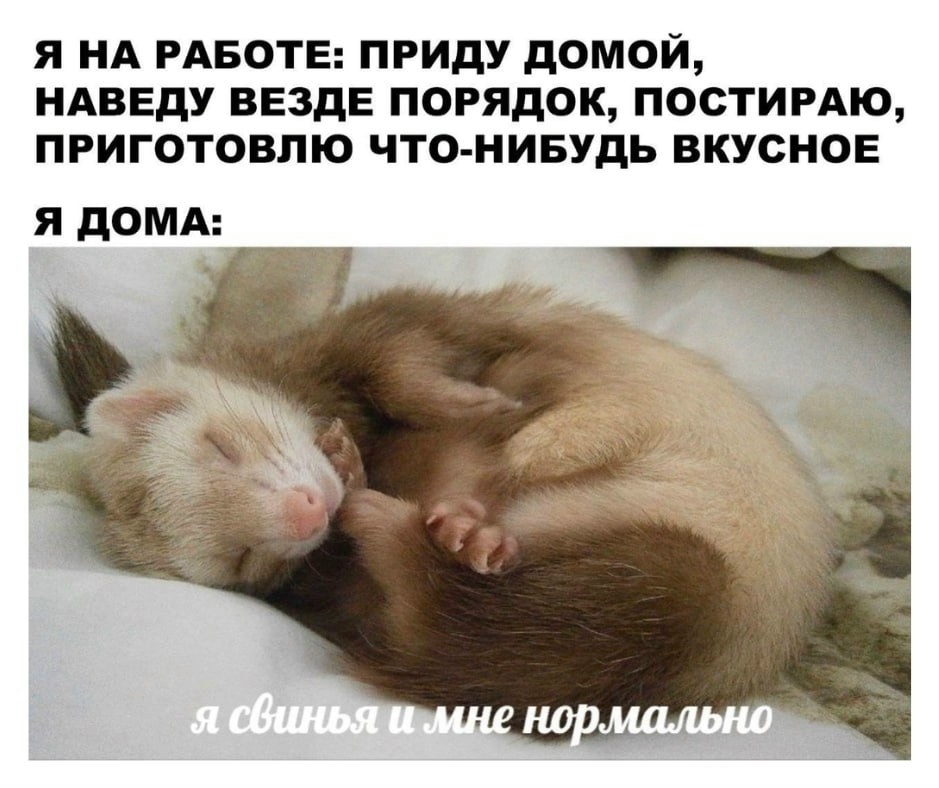 Pnx_ek1ZeckFyNRf8TPL5sMoArsdviBG7BeSYSFUQ3eQvsTRv-KL487JcEcLk4CO9ESJd9eS2fV79umabvlJFkb4.jpg
