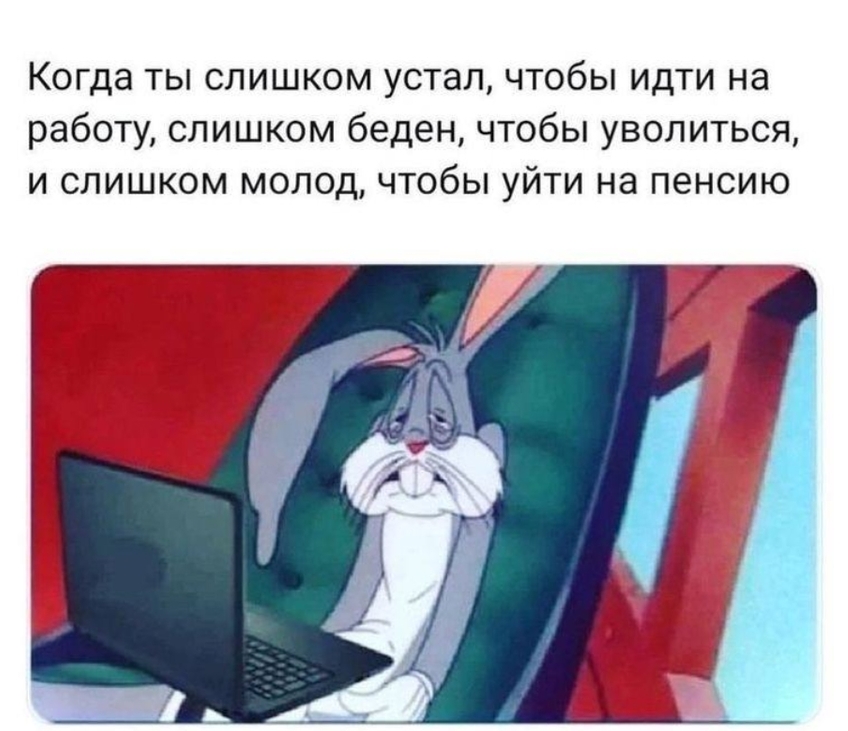SGtYjKcp_zXNkGk4dq7AevZeOP36sRf460PKR3QdEtJl8iTdXhkPQWvnCjo8nWExXxEJvUowoZ_ErHEq8Fql-RvB.jpg