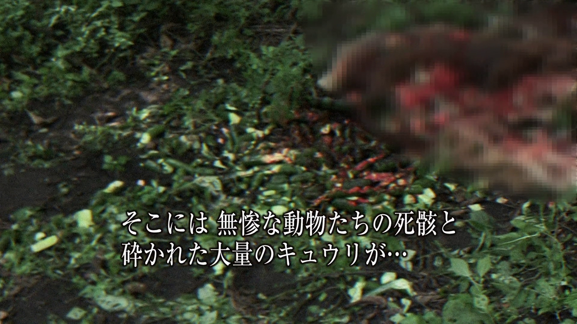 vlcsnap-2026-07-07-02h41m46s178.png