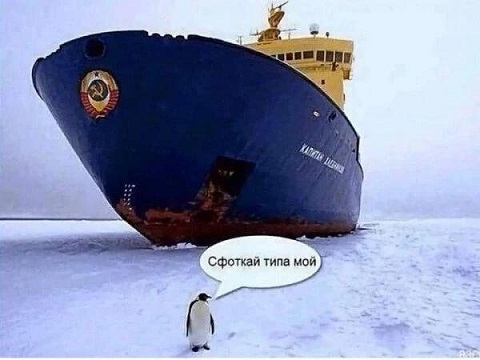 https://i4.imageban.ru/out/2026/07/08/3825d386bed512cc337513332066a886.jpg
