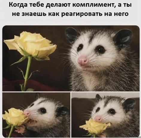 https://i4.imageban.ru/out/2026/07/12/83323e9071e406f93779c65cd477dd0a.jpg