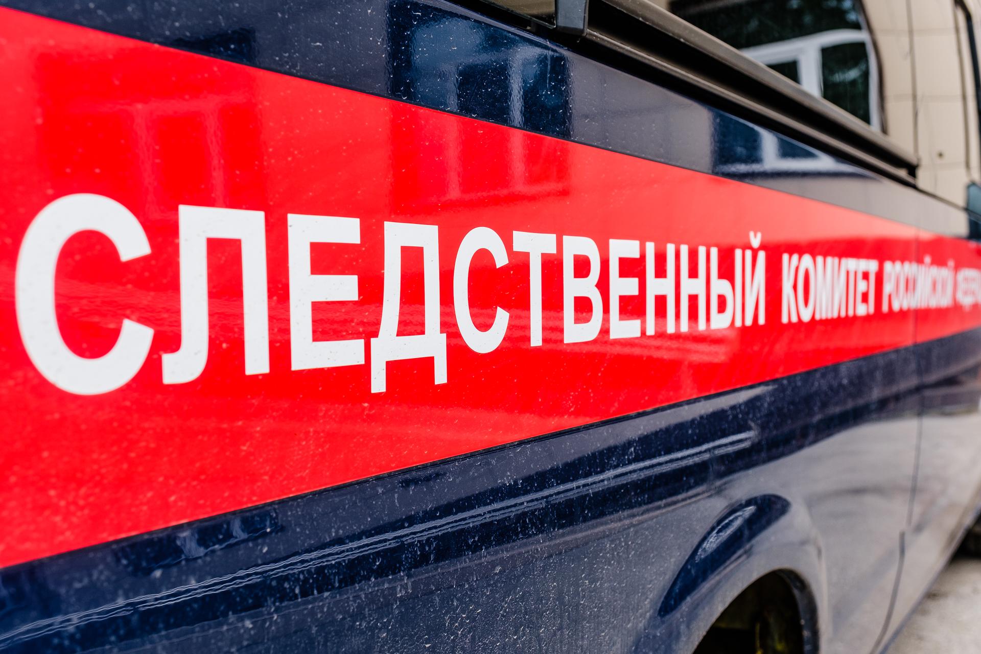 В Кудымкаре расследуют изнасилование семилетней девочки