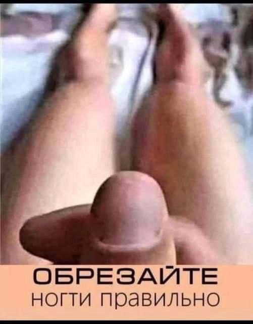 ed3f7fd102fcde078160f809ef169c6b.jpg