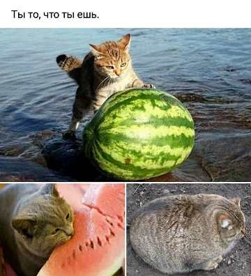 https://i4.imageban.ru/out/2026/07/14/031a5af892b25d4d689c7587a3baf7ff.png