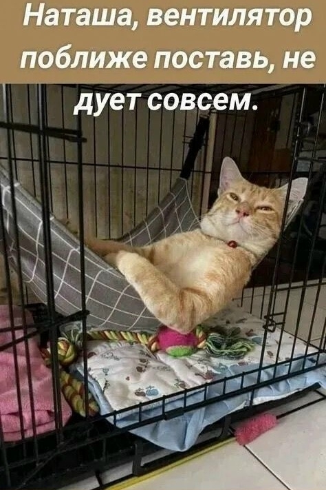 02d7cfy6WPjz4jqiOHvnijTRtbrIYw4eOubNPySulNEqFgHFlmRAlSZ4CoNQNrY-HqbR4rPz36RxN0howtutkMm4.jpg