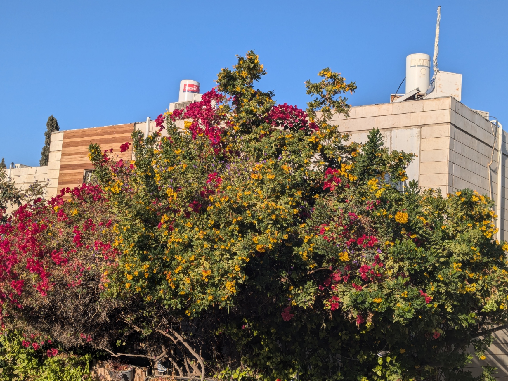 PXL_20241123_045721142.jpg