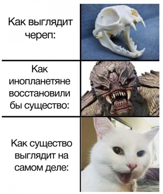 https://i4.imageban.ru/out/2026/07/28/e34c27c0f107321c0f393c48f2a597e3.jpg