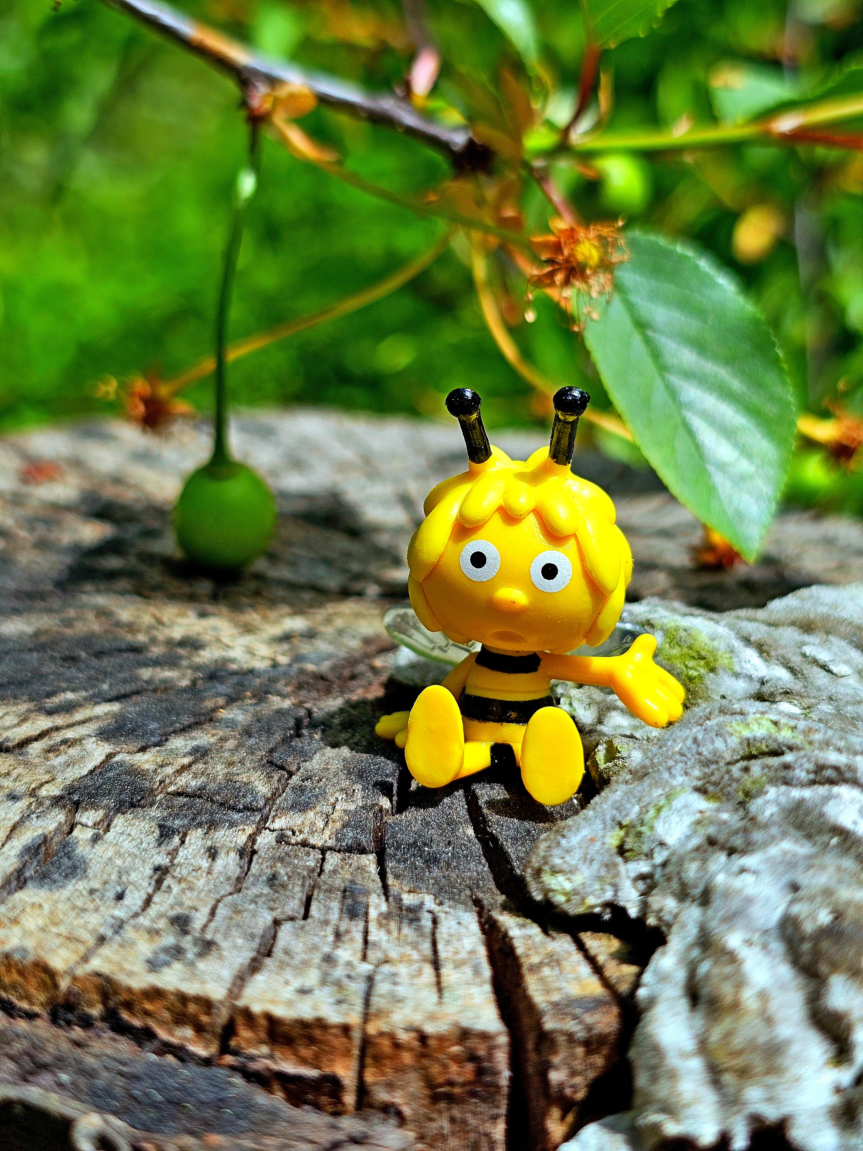 20260524_112132.jpg