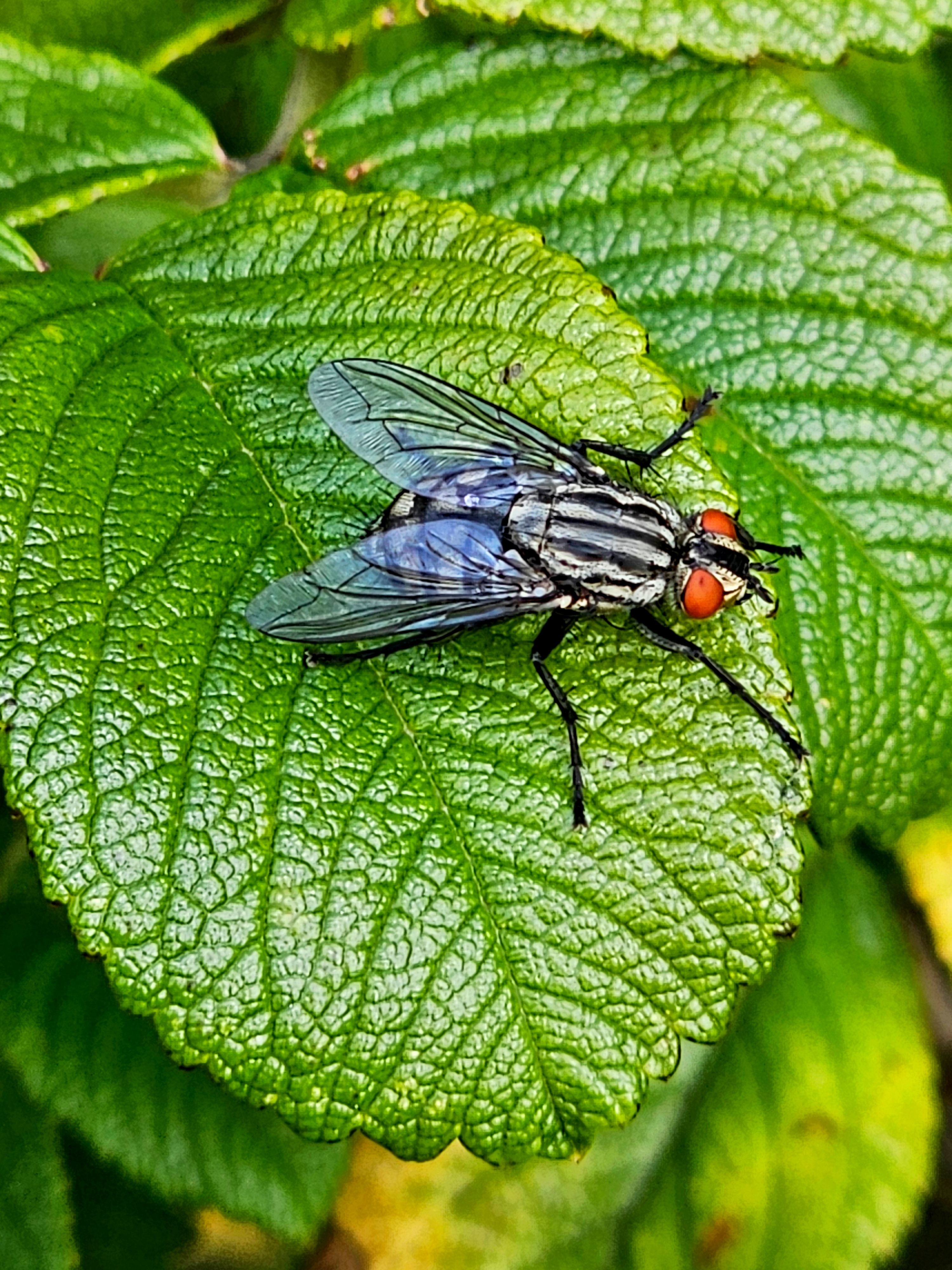 20260723_122401.jpg