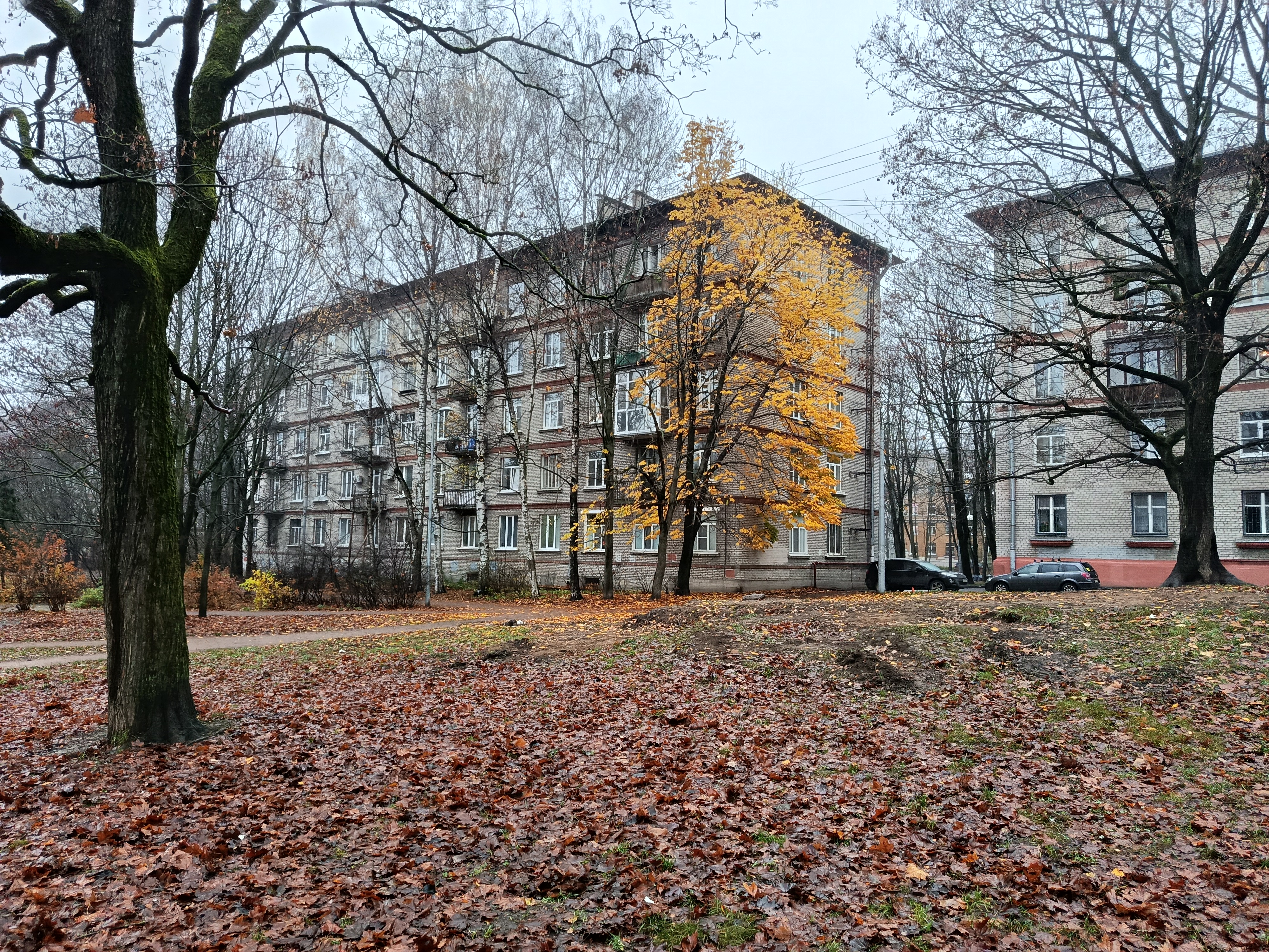 Гданьская 13_2.JPG