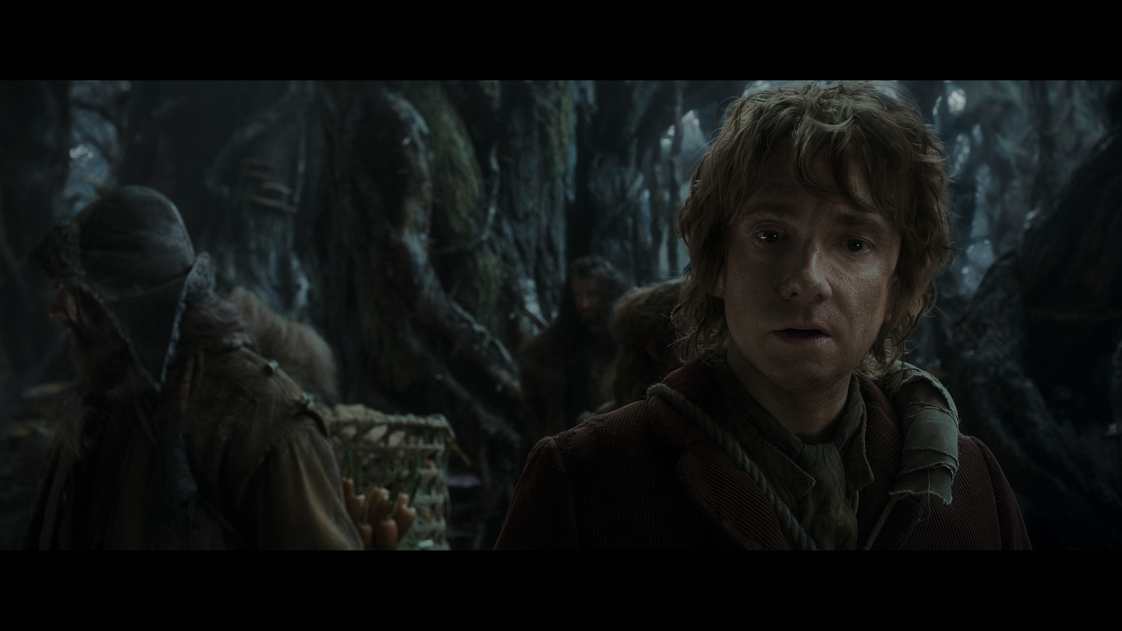 Хоббит Пустошь Смауга.2013.Extended Cut.UHD.Blu-Ray.Remux.2160p.mkv_snapshot_00.31.18.085.png