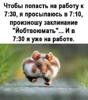 https://i4.imageban.ru/out/2026/08/07/d427cae48693da800075e1772294e71f.jpg