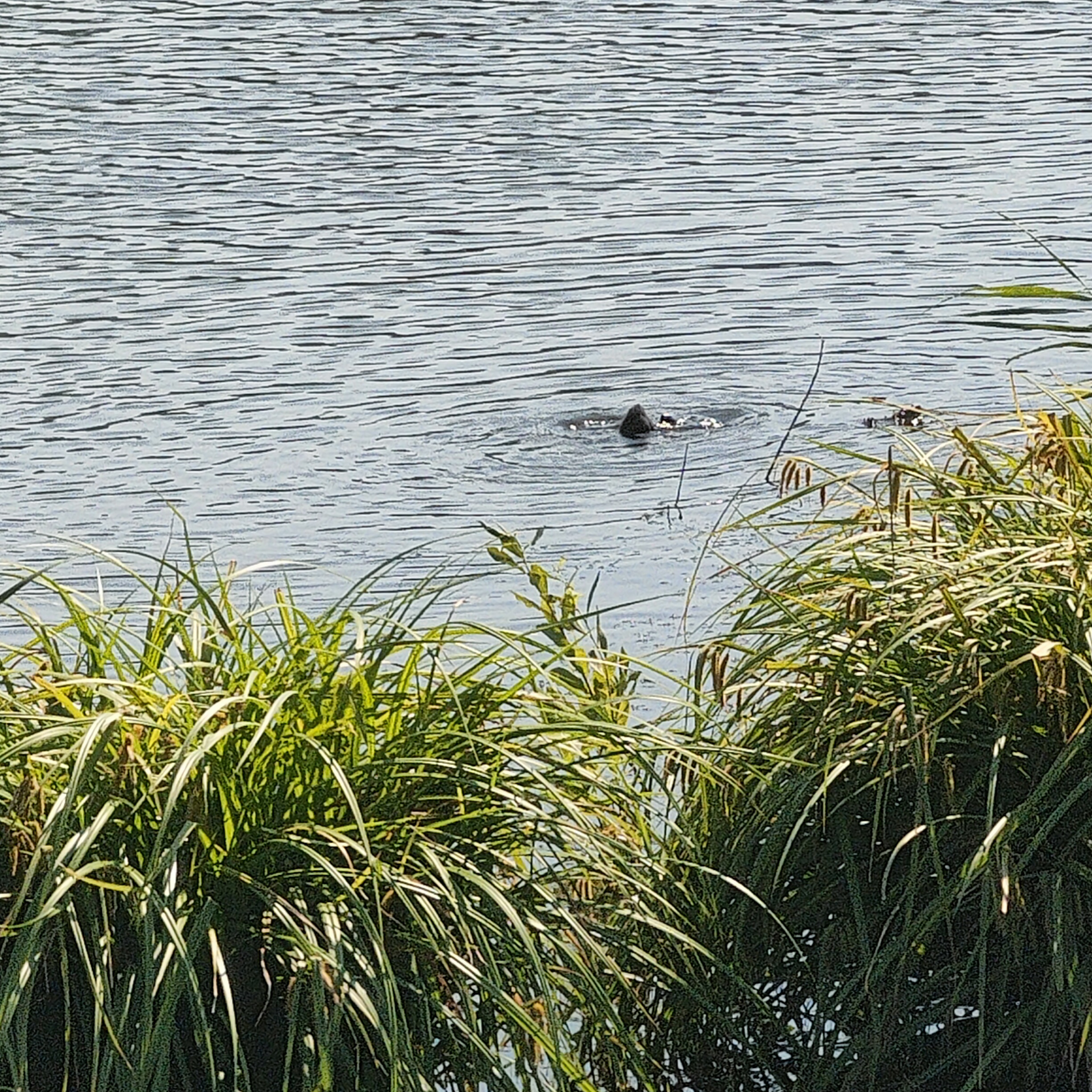 IMG20260808140156.jpg