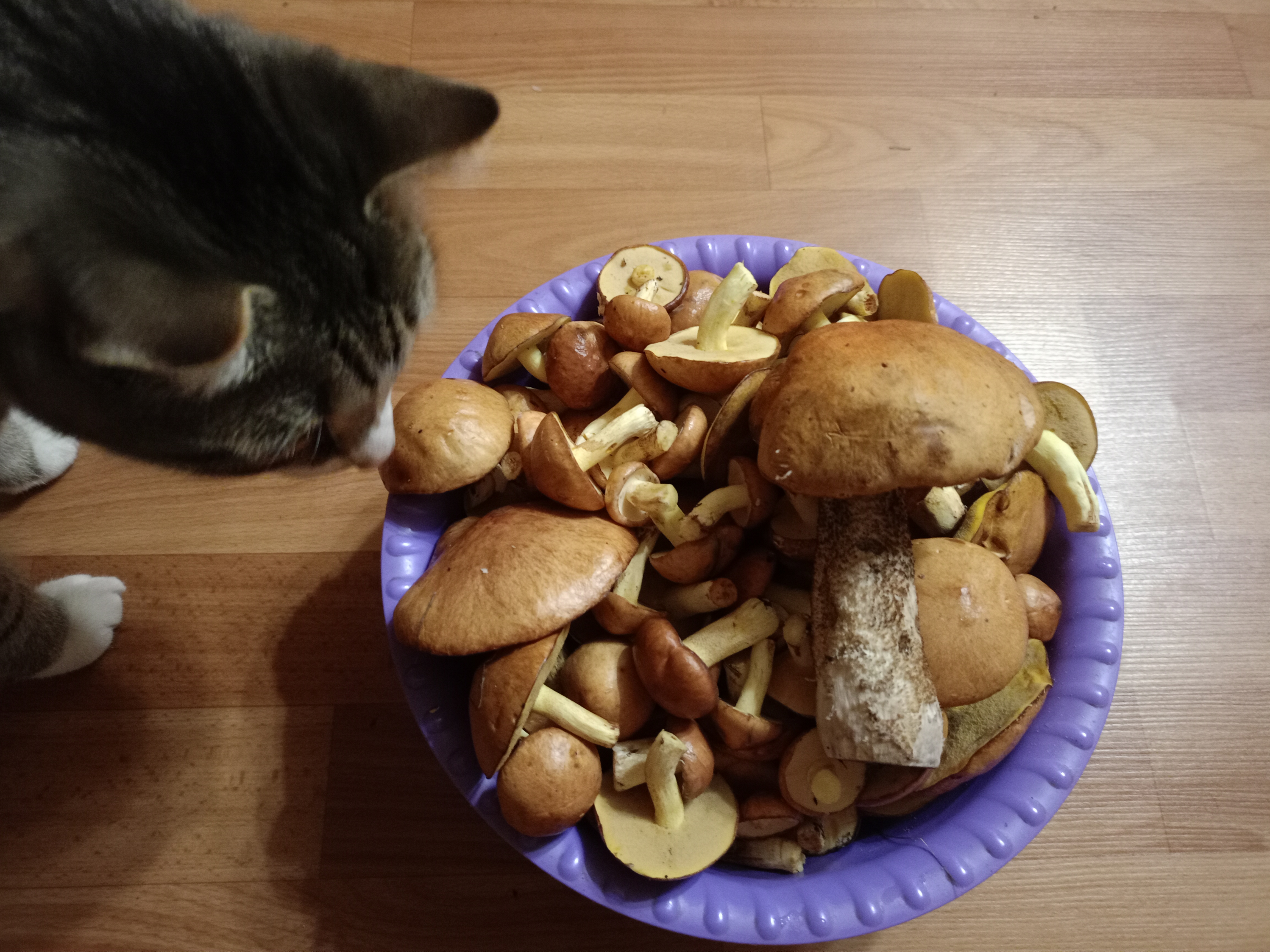 IMG20260803213155.jpg