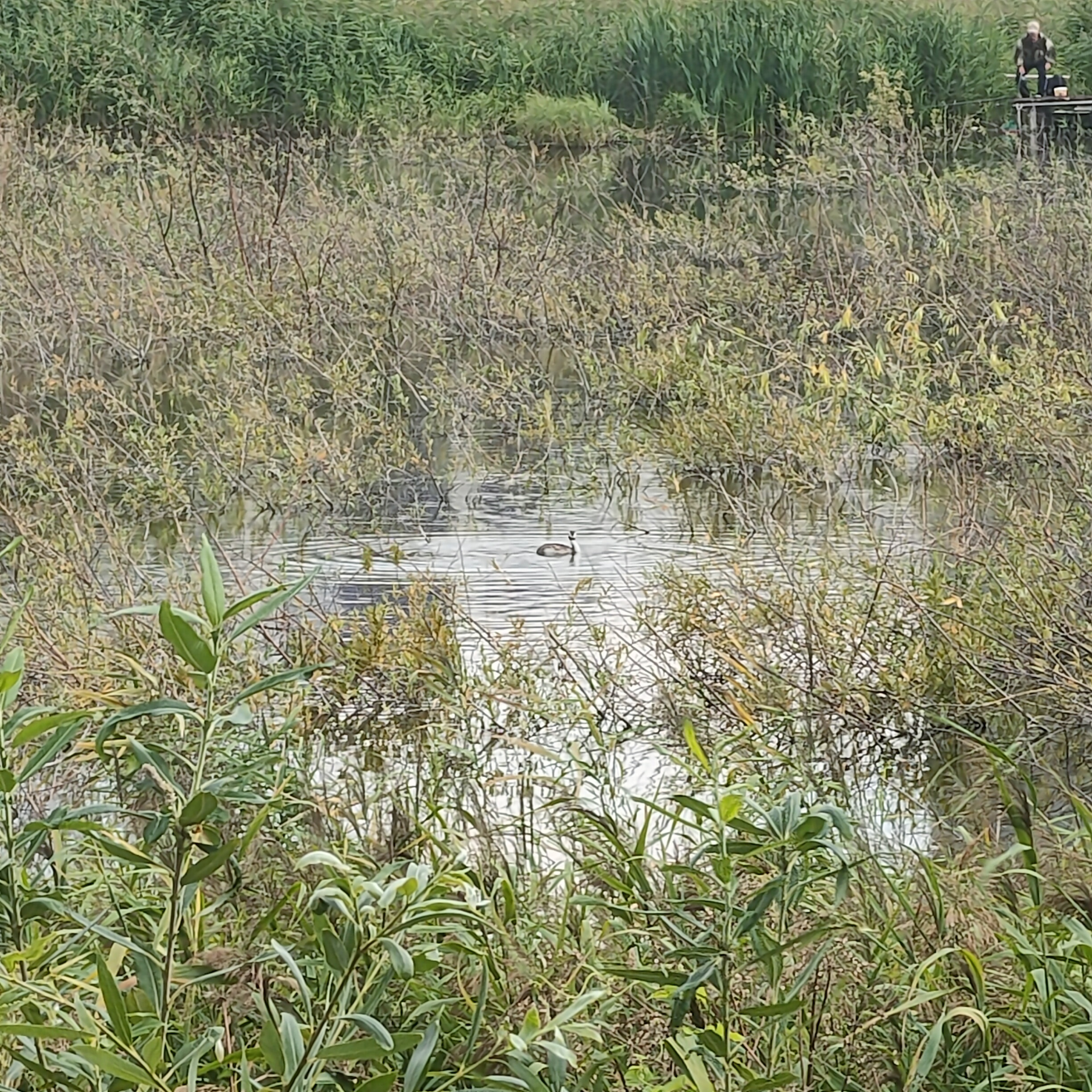 IMG20260812100602.jpg