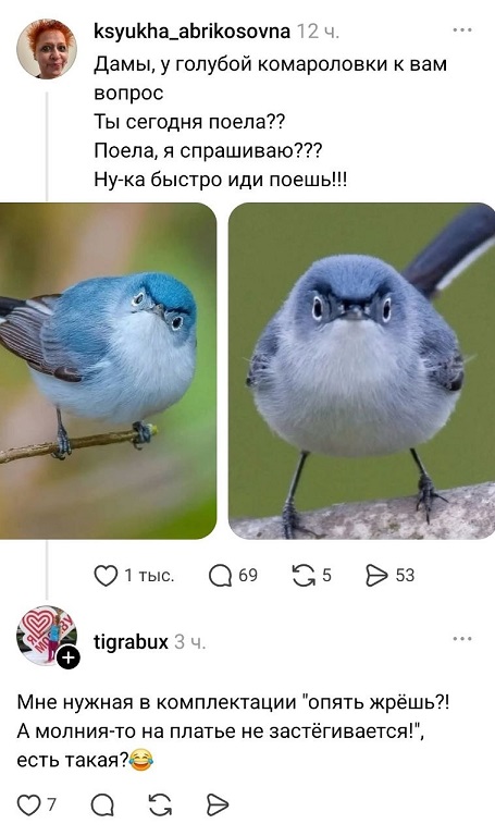 https://i4.imageban.ru/out/2026/08/20/4fea9b04d625c2c149bcd0e2c20765c3.jpg