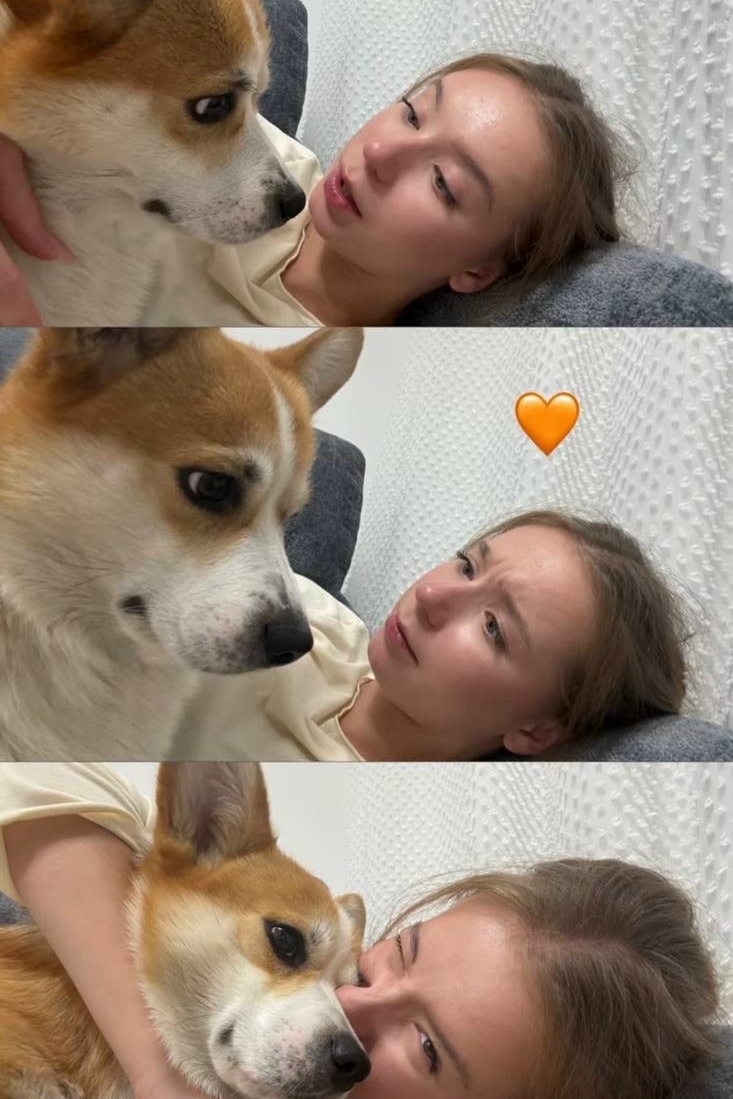 https://i4.imageban.ru/out/2026/08/21/9697fed095038e03f2b12055bb3d0d5e.jpg