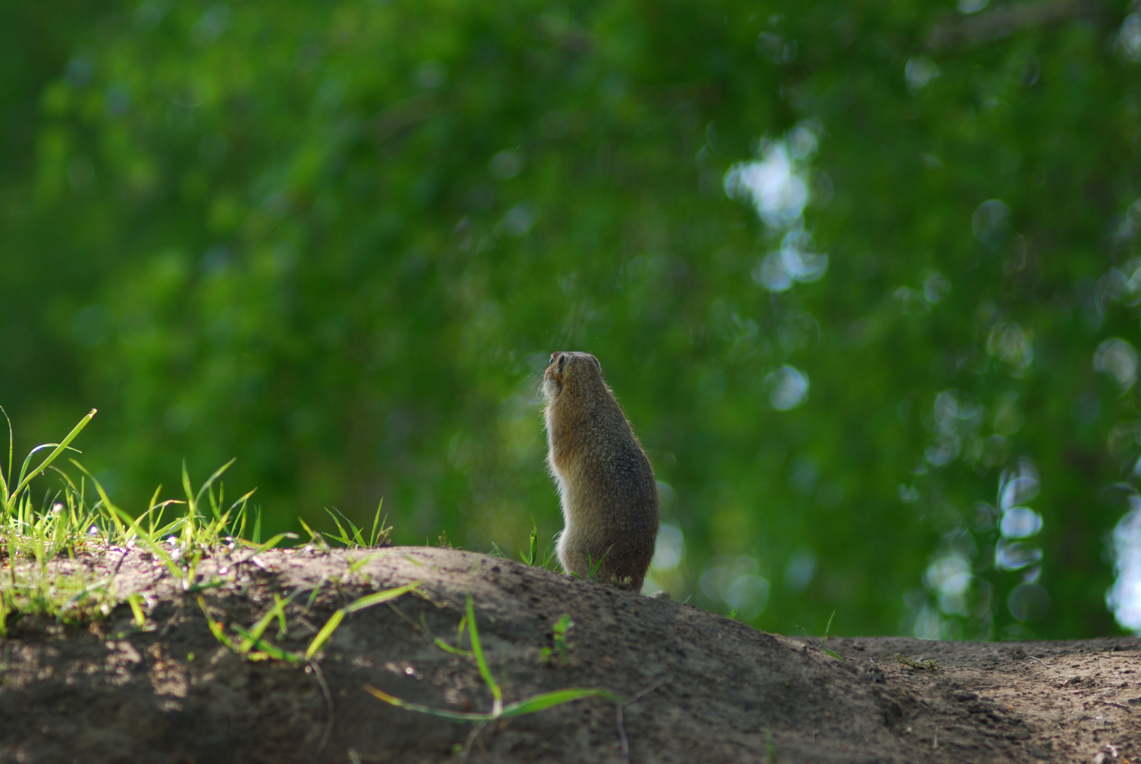 DSC_0646.JPG