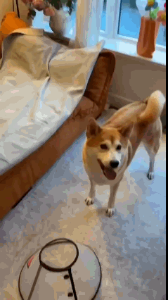1255941a3a0f79315e15c2e70d69c30a.gif
