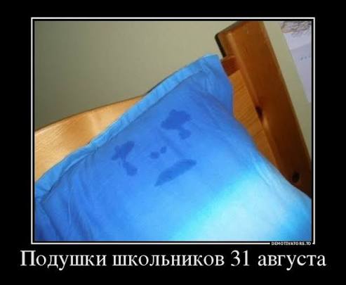 https://i4.imageban.ru/out/2026/08/31/e3daf4ce8128a900fba3b6a58f37565b.jpg
