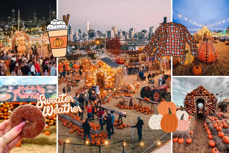 attachment-jacks-pumpkin-pop-up-FI.webp