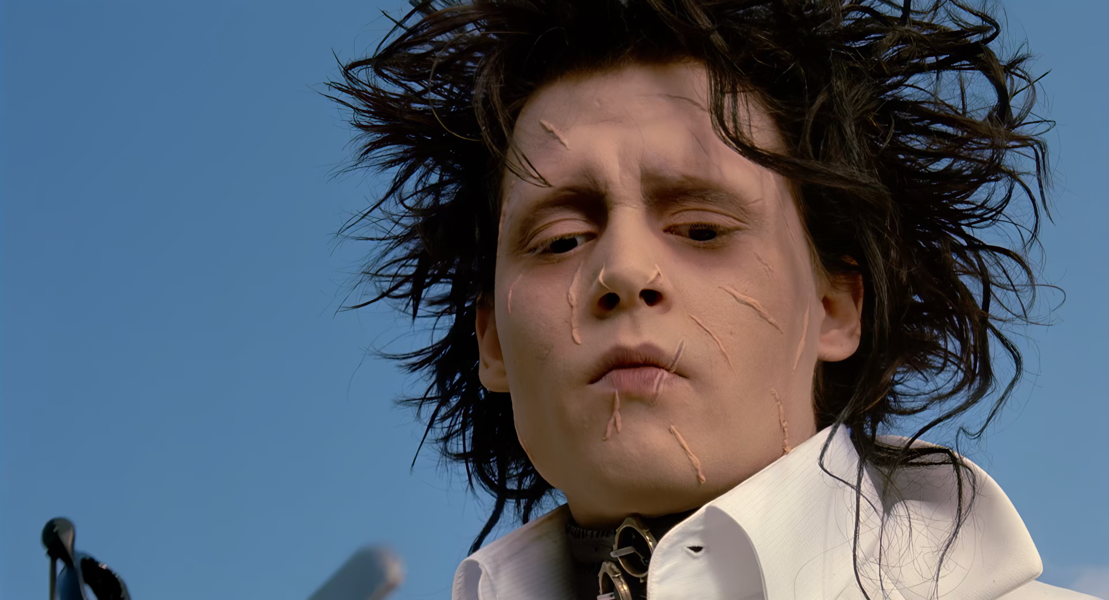 Edward Scissorhands 2.png