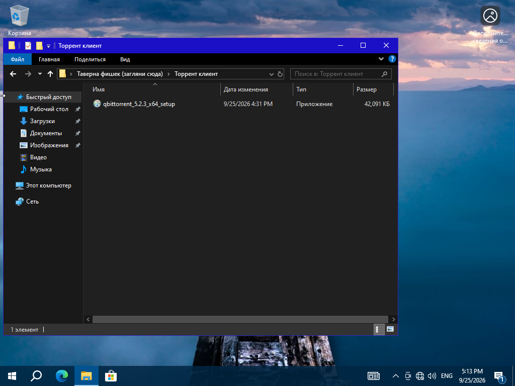 Windows 11 x64 (2)-2026-09-25-17-13-32.png
