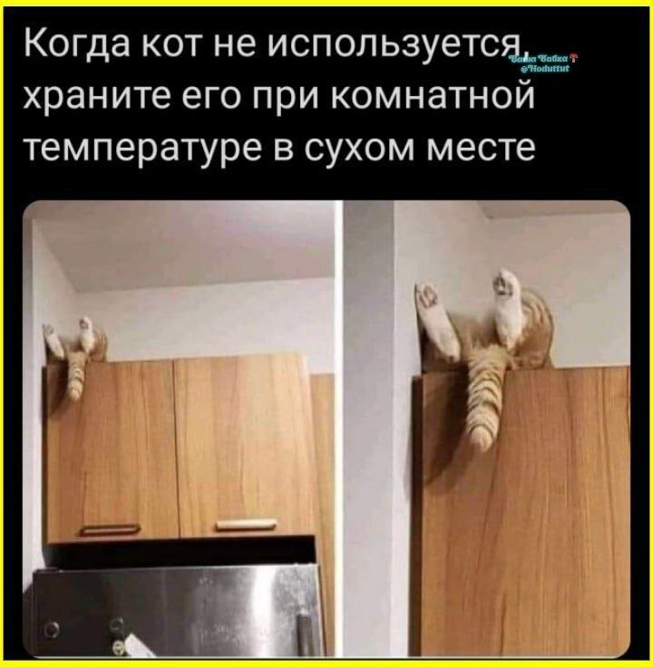 0fd7c11f46cb4d266ce14e9bc71b5862.jpg
