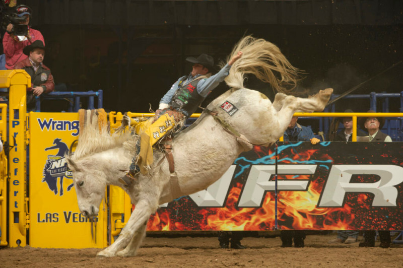 Wrangler что за бренд. Смотреть фото Wrangler что за бренд. Смотреть картинку Wrangler что за бренд. Картинка про Wrangler что за бренд. Фото Wrangler что за бренд