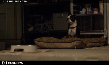 Трон: Наследие / TRON: Legacy (2010) HybridRip 720p | Open Matte Трон: Наследие / TRON: Legacy (2010) HybridRip 720p | Open Matte