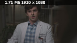   / The Good Doctor (7 /2024/WEB-DL/WEB-DLRip)