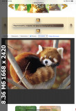 https://i4.imageban.ru/thumbs/2025.04.29/2ea863836f0efc6232f3d27e9ecf32fd.png