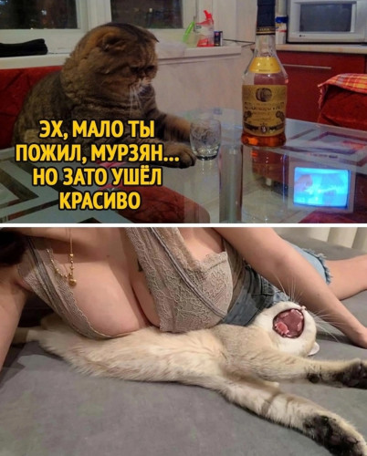 кты 