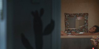 https://i4.imageban.ru/thumbs/2025.06.05/c358b540bb17789551f1c0e9680e25e4.jpg