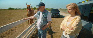  (2025/WEB-DL/WEB-DLRip)